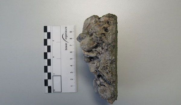 Gutachten